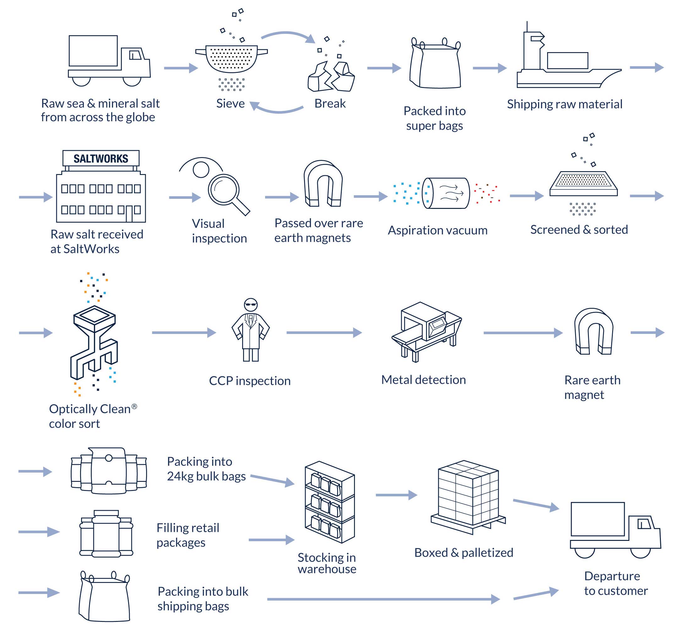 Salt 101 Infographic